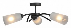 Люстра на штанге Vitaluce V2850 V2850-1/3PL в Набережных Челнах - naberezhnye-chelny.mebel24.online | фото 3