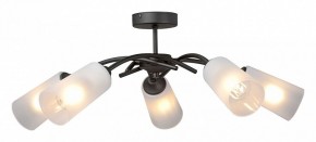 Люстра на штанге Vitaluce V2850 V2850-1/5PL в Набережных Челнах - naberezhnye-chelny.mebel24.online | фото