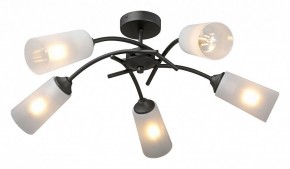 Люстра на штанге Vitaluce V2850 V2850-1/5PL в Набережных Челнах - naberezhnye-chelny.mebel24.online | фото 2