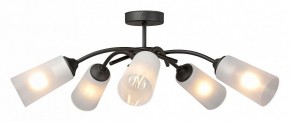 Люстра на штанге Vitaluce V2850 V2850-1/5PL в Набережных Челнах - naberezhnye-chelny.mebel24.online | фото 3