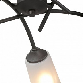 Люстра на штанге Vitaluce V2850 V2850-1/5PL в Набережных Челнах - naberezhnye-chelny.mebel24.online | фото 6