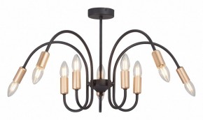 Люстра на штанге Vitaluce V3026 V3026-1/10PL в Набережных Челнах - naberezhnye-chelny.mebel24.online | фото 2