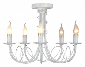Люстра на штанге Vitaluce V3035 V3035-0/5PL в Набережных Челнах - naberezhnye-chelny.mebel24.online | фото 2