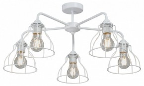 Люстра на штанге Vitaluce V3102 V3102-0/5PL в Набережных Челнах - naberezhnye-chelny.mebel24.online | фото