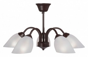 Люстра на штанге Vitaluce V3335 V3335-7/5PL в Набережных Челнах - naberezhnye-chelny.mebel24.online | фото