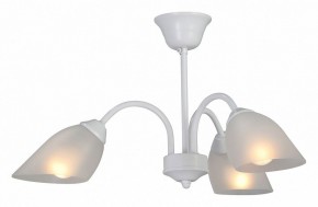Люстра на штанге Vitaluce V3336 V3336-0/3PL в Набережных Челнах - naberezhnye-chelny.mebel24.online | фото