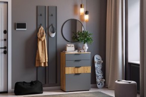 МЕБЕЛЬСОН К21 Прихожая  (графит) в Набережных Челнах - naberezhnye-chelny.mebel24.online | фото