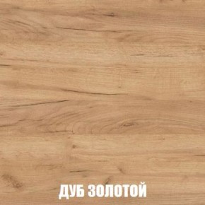 МСП-1 Шкаф 2-х створчатый (Дуб Золотой/Камень темный) в Набережных Челнах - naberezhnye-chelny.mebel24.online | фото 4