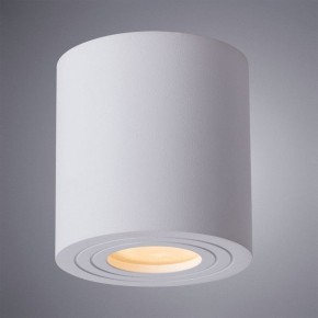 Накладной светильник Arte Lamp Galopin A1460PL-1WH в Набережных Челнах - naberezhnye-chelny.mebel24.online | фото 2