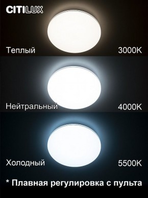 Накладной светильник Citilux Симпла CL714330G в Набережных Челнах - naberezhnye-chelny.mebel24.online | фото 4