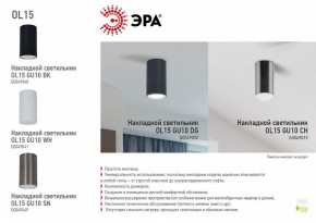 Накладной светильник Эра OL15 GU10 WH Б0049041 в Набережных Челнах - naberezhnye-chelny.mebel24.online | фото 5
