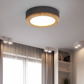 Накладной светильник Imperiumloft Wudda Серый WUDDA01 в Набережных Челнах - naberezhnye-chelny.mebel24.online | фото 4