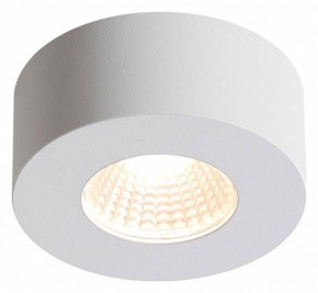 Накладной светильник Odeon Light Bene 4282/7CL в Набережных Челнах - naberezhnye-chelny.mebel24.online | фото 2