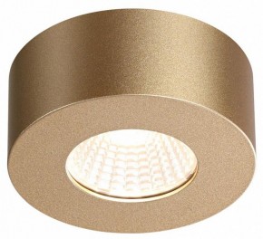 Накладной светильник Odeon Light Bene 4284/7CL в Набережных Челнах - naberezhnye-chelny.mebel24.online | фото 4