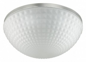 Накладной светильник Odeon Light Pirsa 4937/4C в Набережных Челнах - naberezhnye-chelny.mebel24.online | фото 2