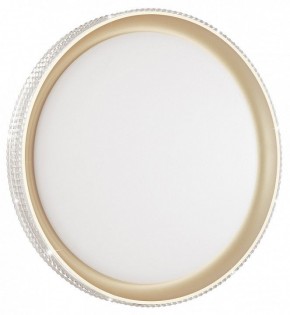 Накладной светильник Sonex Shiny 3054/DL в Набережных Челнах - naberezhnye-chelny.mebel24.online | фото 2