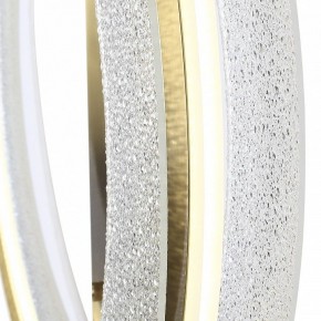 Накладной светильник ST-Luce FAGY SL6245.212.01 в Набережных Челнах - naberezhnye-chelny.mebel24.online | фото 4