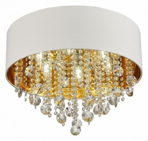 Накладной светильник ST-Luce Lacchia SL1350.502.06 в Набережных Челнах - naberezhnye-chelny.mebel24.online | фото 3