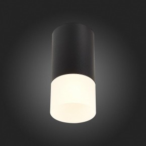 Накладной светильник ST-Luce ST100 ST100.412.01 в Набережных Челнах - naberezhnye-chelny.mebel24.online | фото 4
