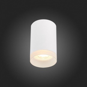 Накладной светильник ST-Luce ST100 ST100.502.01 в Набережных Челнах - naberezhnye-chelny.mebel24.online | фото 4