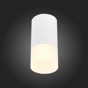 Накладной светильник ST-Luce ST100 ST100.512.01 в Набережных Челнах - naberezhnye-chelny.mebel24.online | фото 4