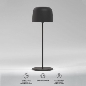 Настольная лампа декоративная Elektrostandard Bitty a069002 в Набережных Челнах - naberezhnye-chelny.mebel24.online | фото 2