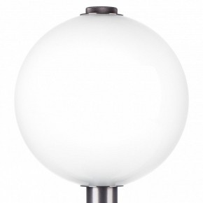 Настольная лампа декоративная Lightstar Colore 805916 в Набережных Челнах - naberezhnye-chelny.mebel24.online | фото 6