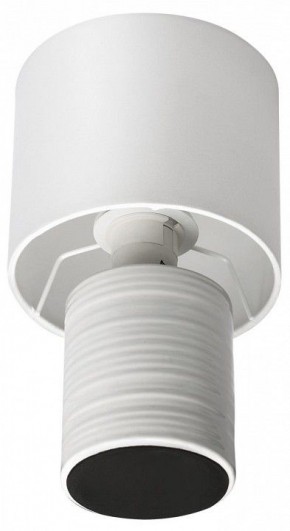 Настольная лампа декоративная Lumion Tuala 8144/1Т в Набережных Челнах - naberezhnye-chelny.mebel24.online | фото 3