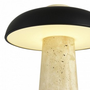 Настольная лампа декоративная ST-Luce Earthy SL1194.424.01 в Набережных Челнах - naberezhnye-chelny.mebel24.online | фото 6