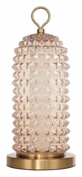 Настольная лампа декоративная ST-Luce SAGUARO SL6144.304.01 в Набережных Челнах - naberezhnye-chelny.mebel24.online | фото