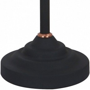 Настольная лампа офисная Arte Lamp Braccio A2054LT-1BK в Набережных Челнах - naberezhnye-chelny.mebel24.online | фото 4