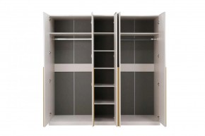 НИКОЛЬ 25 Шкаф 5-ти створчатый в Набережных Челнах - naberezhnye-chelny.mebel24.online | фото 3