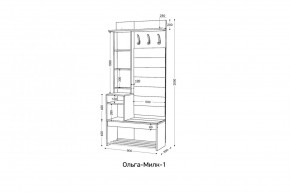 ОЛЬГА-МИЛК Прихожая (модульная) в Набережных Челнах - naberezhnye-chelny.mebel24.online | фото 2