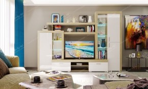 ОРЛАНДО Гостиная набор № 1 в Набережных Челнах - naberezhnye-chelny.mebel24.online | фото 4
