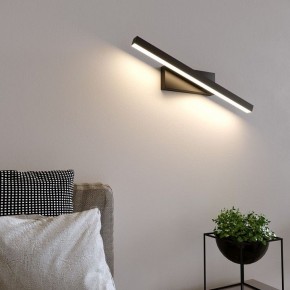 Подсветка для картины Elektrostandard Rino a061222 в Набережных Челнах - naberezhnye-chelny.mebel24.online | фото 3