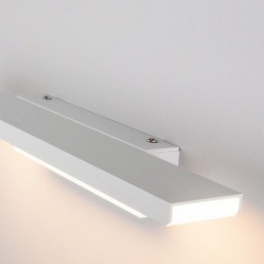 Подсветка для картины Elektrostandard Sankara a038372 в Набережных Челнах - naberezhnye-chelny.mebel24.online | фото 3