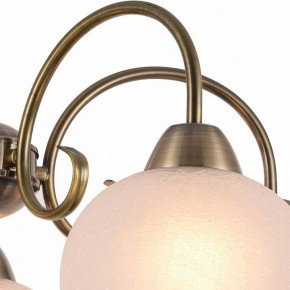 Подвесная люстра Arte Lamp Margo A9317LM-5AB в Набережных Челнах - naberezhnye-chelny.mebel24.online | фото 3