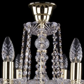 Подвесная люстра Bohemia Ivele Crystal 1402 1402/8/195/G/tube в Набережных Челнах - naberezhnye-chelny.mebel24.online | фото 4