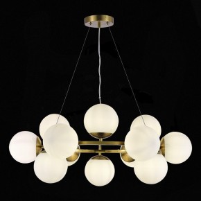 Подвесная люстра EVOLUCE Fratta SLE1191-203-12 в Набережных Челнах - naberezhnye-chelny.mebel24.online | фото 4