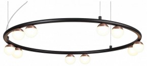 Подвесная люстра Favourite Knopp 4320-10P в Набережных Челнах - naberezhnye-chelny.mebel24.online | фото
