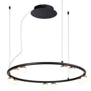 Подвесная люстра Favourite Knopp 4320-10P в Набережных Челнах - naberezhnye-chelny.mebel24.online | фото 2