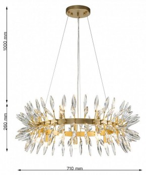Подвесная люстра Favourite Rays 4058-14P в Набережных Челнах - naberezhnye-chelny.mebel24.online | фото 7