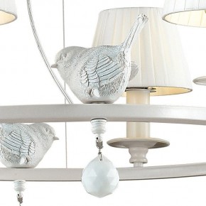 Подвесная люстра Favourite Vogel 1705-6P в Набережных Челнах - naberezhnye-chelny.mebel24.online | фото 4