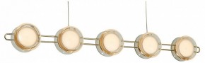 Подвесная люстра Favourite Yo-yo 4334-10P в Набережных Челнах - naberezhnye-chelny.mebel24.online | фото