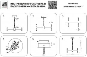 Подвесная люстра Lightstar Iris 734247 в Набережных Челнах - naberezhnye-chelny.mebel24.online | фото 4