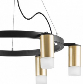 Подвесная люстра Lightstar Rullo LR0164061 в Набережных Челнах - naberezhnye-chelny.mebel24.online | фото 4
