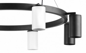Подвесная люстра Lightstar Rullo LR018364374 в Набережных Челнах - naberezhnye-chelny.mebel24.online | фото 5