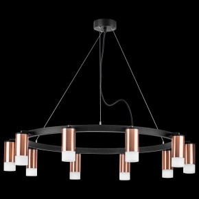 Подвесная люстра Lightstar Rullo LR0203001 в Набережных Челнах - naberezhnye-chelny.mebel24.online | фото 3