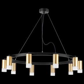 Подвесная люстра Lightstar Rullo LR0204001 в Набережных Челнах - naberezhnye-chelny.mebel24.online | фото 3