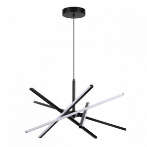 Подвесная люстра Lumion Parker 6563/60L в Набережных Челнах - naberezhnye-chelny.mebel24.online | фото 2